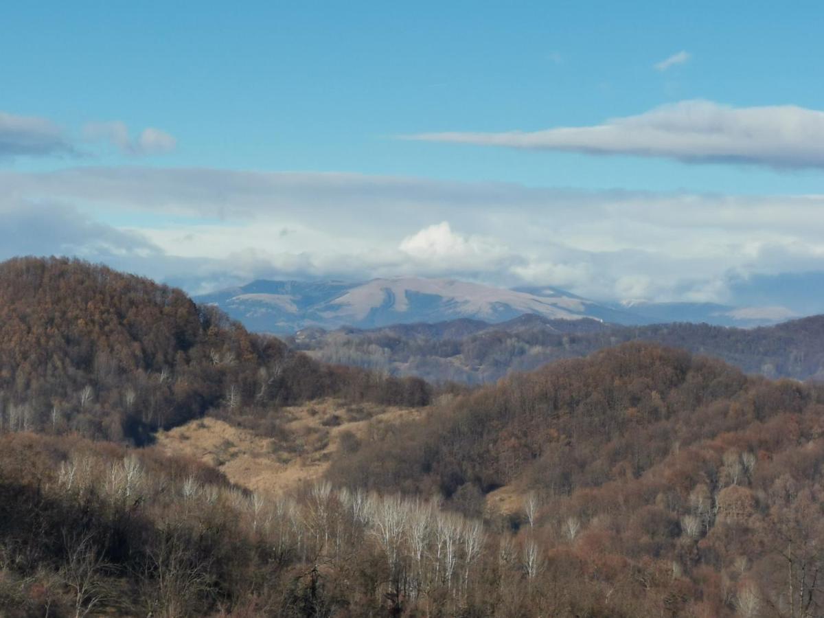 Cabanuta Fara Fite Vila Provita de Jos Exterior foto