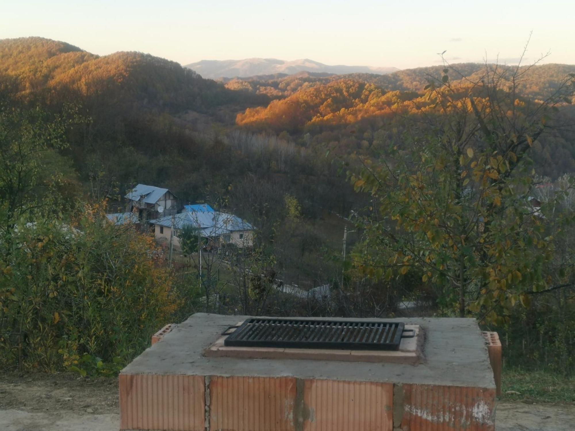 Cabanuta Fara Fite Vila Provita de Jos Exterior foto